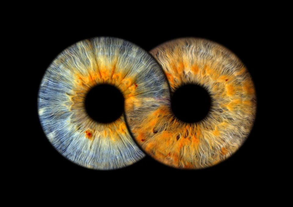 Individuelle Iris-Collage: Infinity