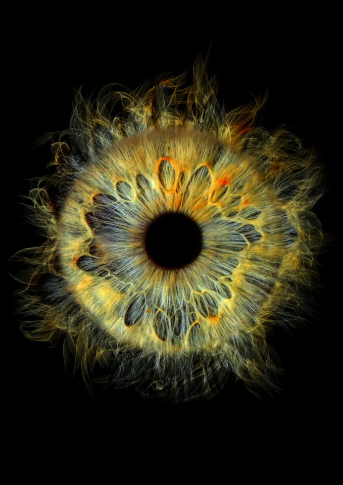 Individuelle Iris-Collage: Rauch · Grün