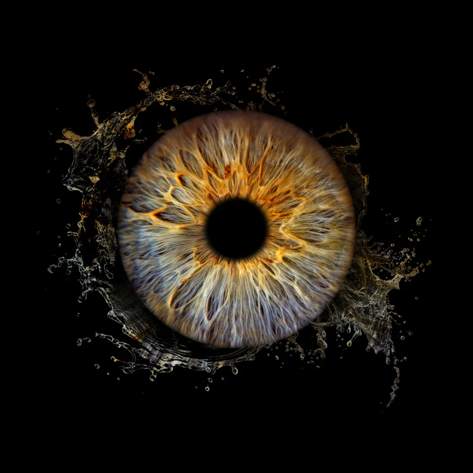 Individuelle Iris-Collage: Wasser