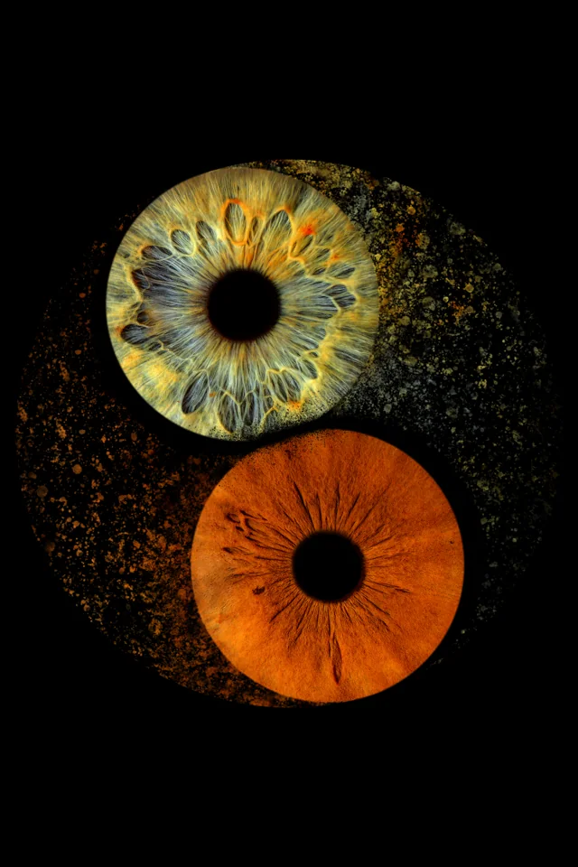 Individuelle Iris-Collage: Yin & Yang · Hochformat