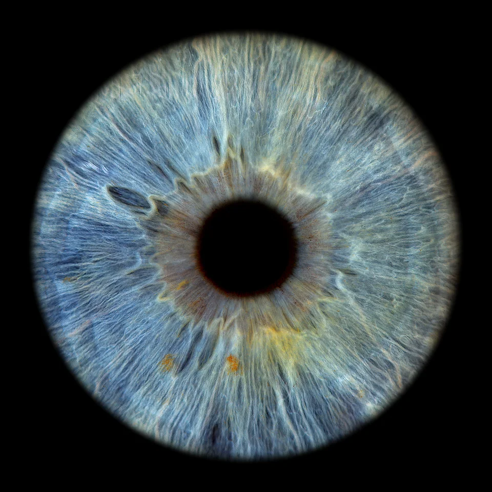 Irisfotografie: Blau