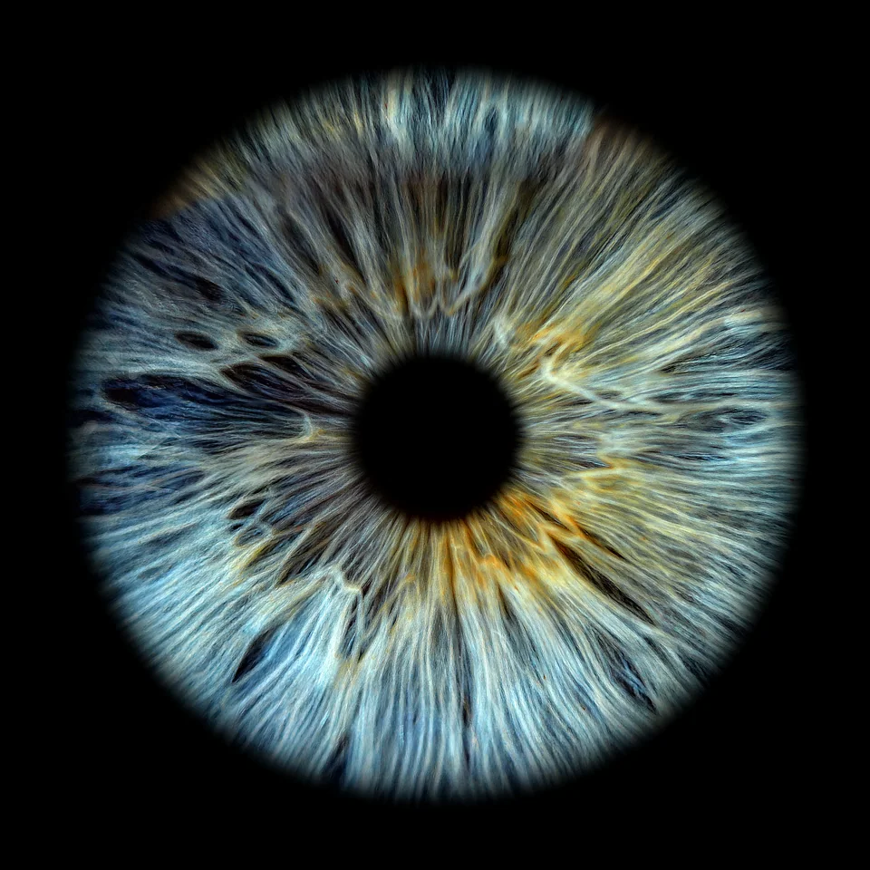 Irisfotografie: Eisblau