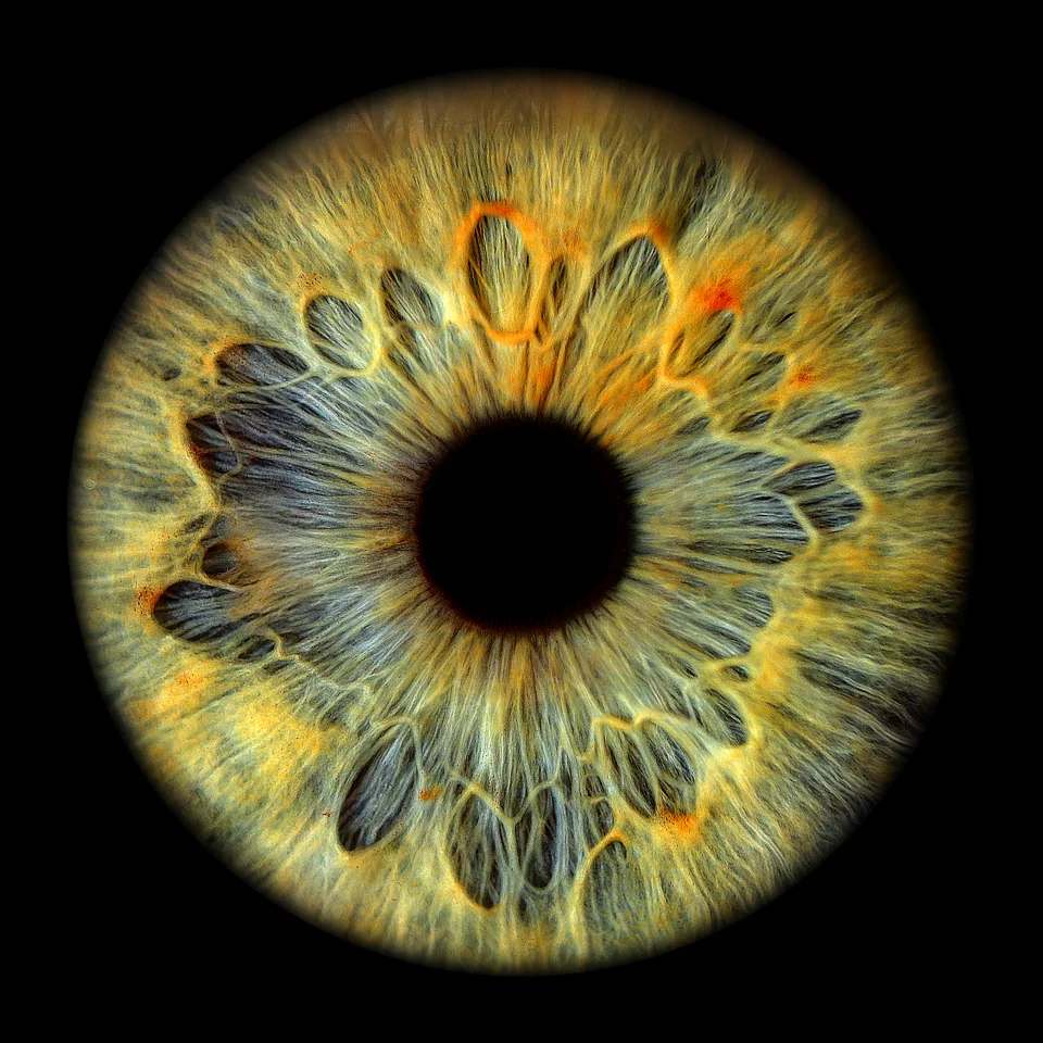 Irisfotografie: Grün & Gold