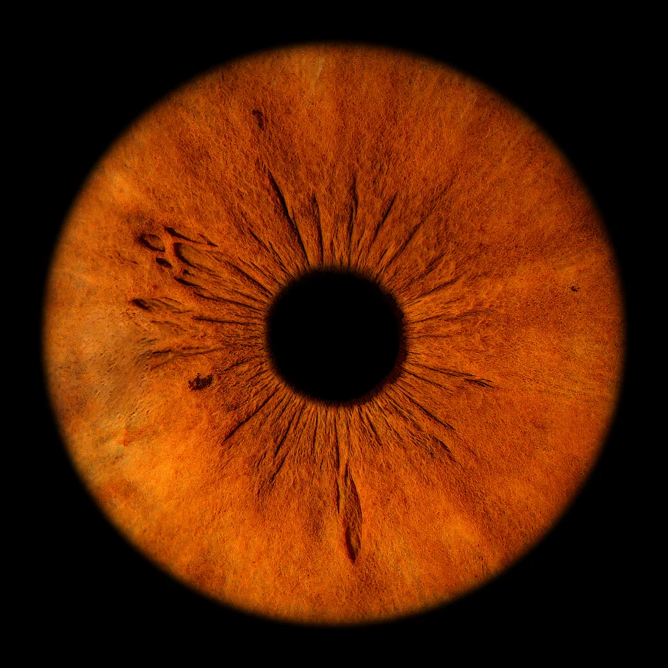 Irisfotografie: Kupfer